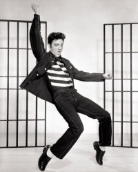 El Rey, Elvis Presley. La revolución del Rock'n'Roll